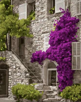 Превосходный фасад с фиолетовыми цветами