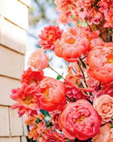 Яркие цветы на клумбе