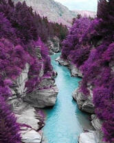 Ущелье с рекой вдоль фиолетового леса