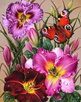 Прекрасные цветы и бабочка