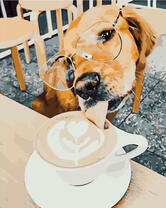 Пес пробует капучино