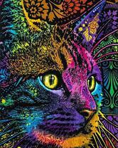 Стильный портрет кошки