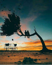 Свидание на дерево с видом на закат