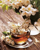 Чашка чая и цвет жасмина