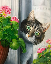 Удивленный кот и герань