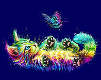 Разноцветный котёнок и бабочка