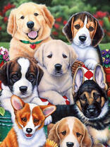 Щеночки разной породы