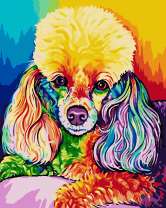 Милый пудель в тёплых тонах