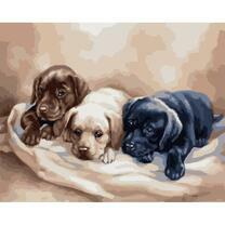 Три милых маленьких щенка