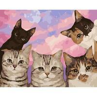 Картина по номерам «Такие разные котики»