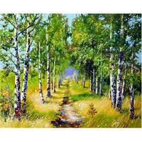 Березовая роща в летний день