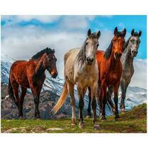 Грациозные лошади в горах