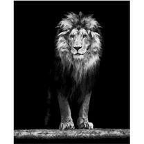 Лев выходит из тьмы