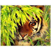 Тигр среди листьев