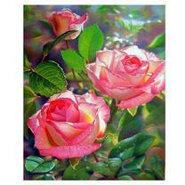 Нежные розы в солнечных лучах