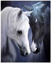 Две лошади белая и чёрная