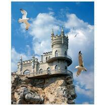 Полёт чаек возле Ласточкиного гнезда