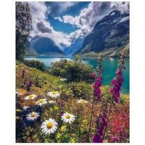 Цветочная поляна у берега горной реки