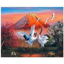 Журавли и вулкан