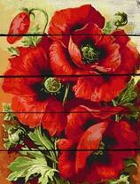 Красота алых маков