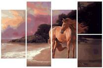 Лошадь на песчаном берегу