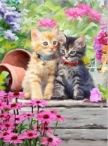 Пара пушистых котёнка в ошейничках