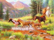 Дикие лошади у горного ручья