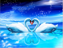 Лебеди под звёздным небом и полной луной