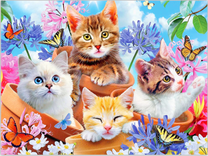 Горшочки с котятами и бабочки