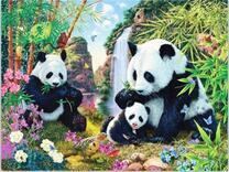 Семья медведей панд с малышом у водопада