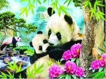 Панды под деревом и яркие цветы