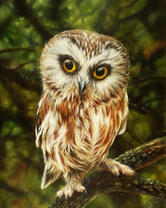 Пушистый милый филин