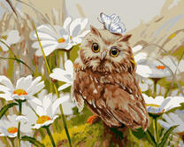 Совёнок среди ромашек