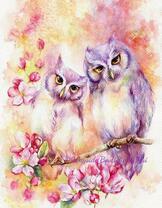 Две розовых совы на цветущей сакуре