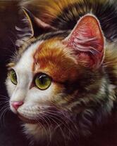 Трёхмастная зеленоглазая кошечка