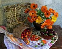 Герберы, крыжовник и черешни