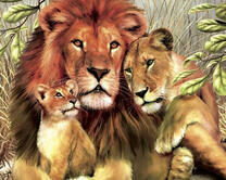 Чудесная львиная семья