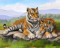 Два больших тигра на фоне гор