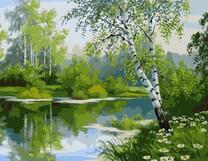 Березка над летней рекой