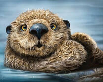 Удивительный бобер