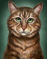 Полосатый кот на зелёном фоне