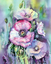 Маки в технике акварель