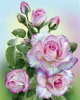 Нежнейшие розы