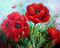 Яркие крупные маки