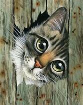 Смешной котёнок в заборе