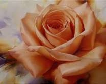 Бутон нежной розы крупным планом