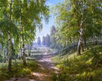 Дорога по берёзовой роще