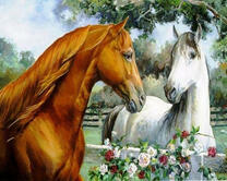 Белая и рыжая лошади в загонах