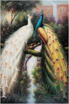 Белый и синий павлины над рекой