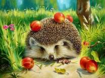 Ежик собирает урожай яблок